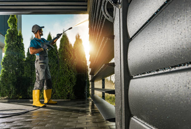 Solar Panel Cleaning in Raymondville, TX